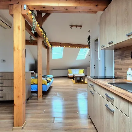 Apartment The Timonova Loft, - Old Town Košice