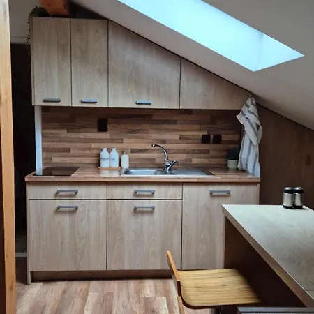 The Timonova Loft, - Old Town Kosice