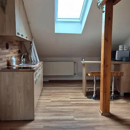 Apartment The Timonova Loft, - Old Town *